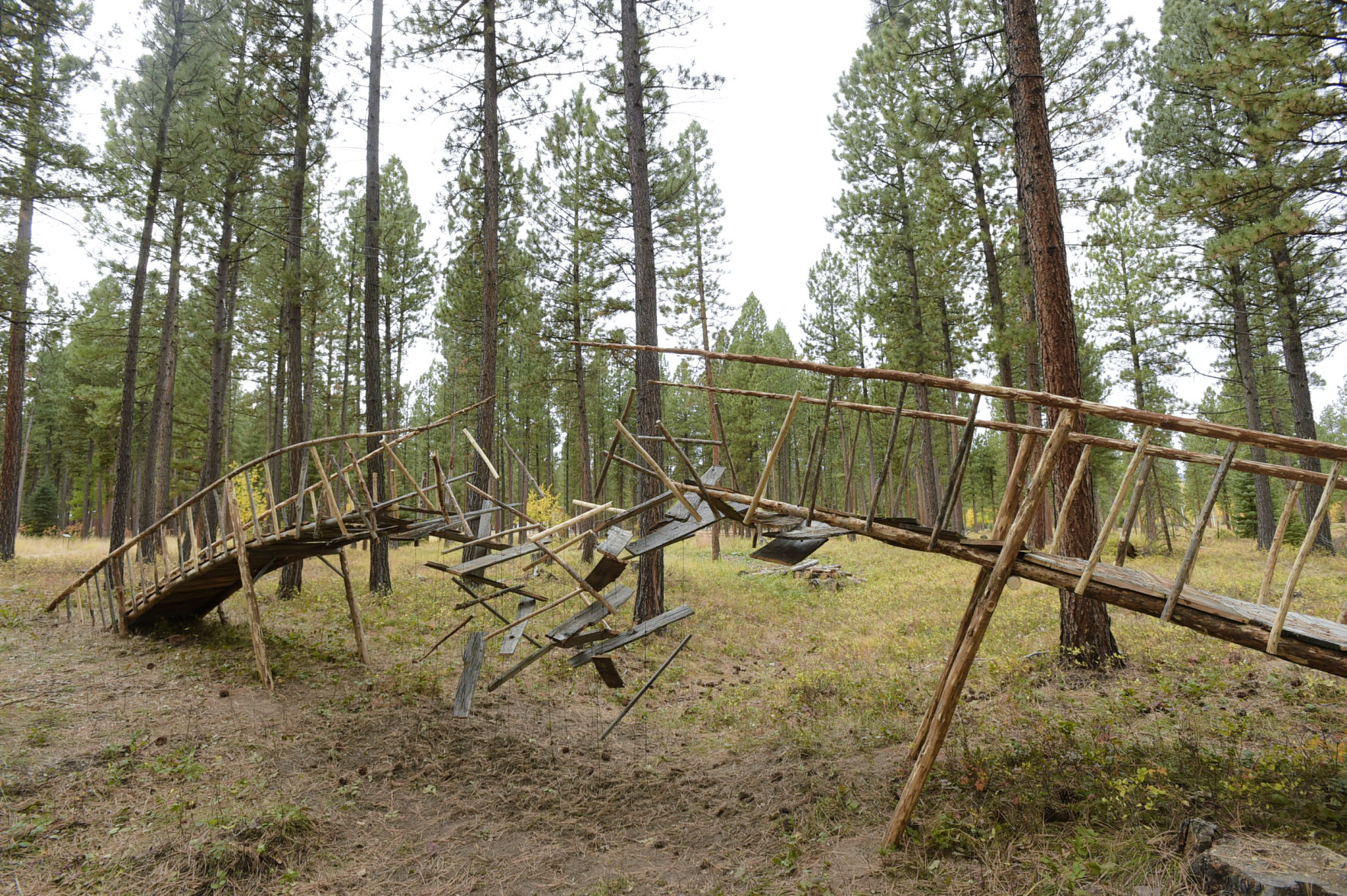 Cornelia Konrads' recently finished installation.